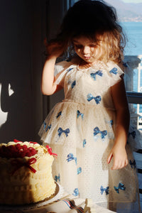 yvonne fairy dress - bowie blue