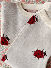 Load image into Gallery viewer, lapis knit blouse - ladybug