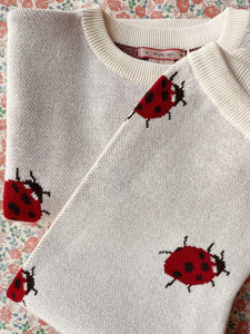 lapis knit blouse - ladybug