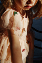 Load image into Gallery viewer, yvonne fairy dress - multi star